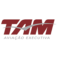 tam executiva